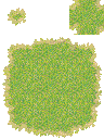 041-Grass01