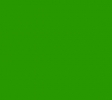 blank