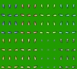don_fish
