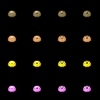 13335_1109662079