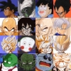 dbz11