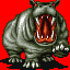 Hippopotamus