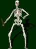 skeleton01
