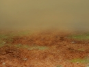 DirtField
