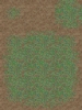 060-CE_Grass01