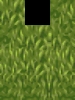 gras4