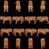 158-Animal08