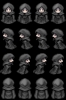 evilguy