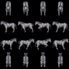 horse-zebra