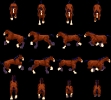 Horse01_run