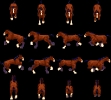 Horse01_run