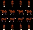 Horse01_stand