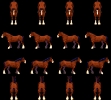 Horse01_stand