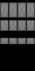 kn_door2
