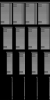 kn_door