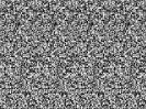 010-Random02