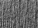 gradation36