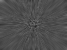 Lines--dcahrakos